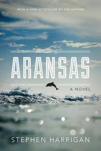 Cover image for Aransas: A Novel