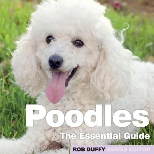 Cover image for Poodles