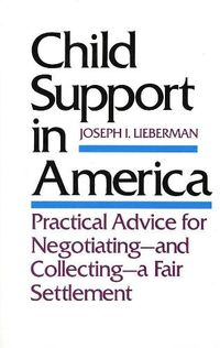 Cover image for Child Support in America: Practical Advice on Negotiating and Collecting a Fair Settlement