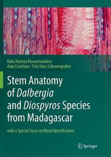 Cover image for Stem Anatomy of Dalbergia and Diospyros Species from Madagascar: with a Special Focus on Wood Identification