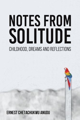 Cover image for Notes from Solitude