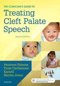 Cover image for The Clinician's Guide to Treating Cleft Palate Speech