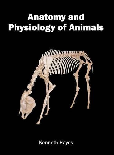 Cover image for Anatomy and Physiology of Animals