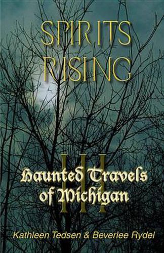 Cover image for Spirits Rising