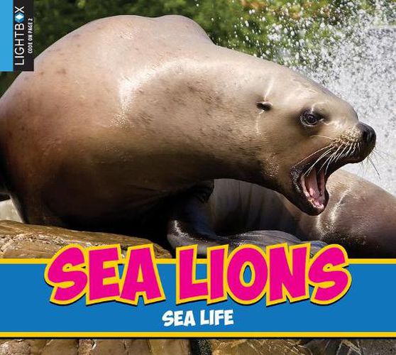 Sea Lions