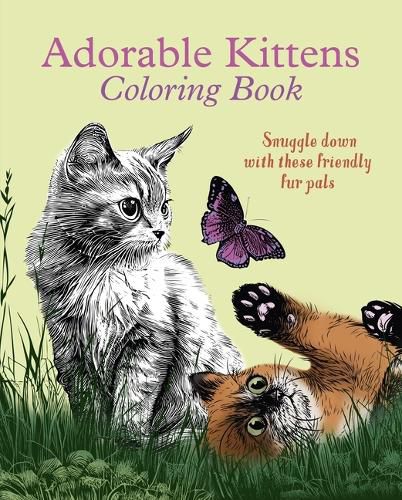 Adorable Kittens Coloring Book