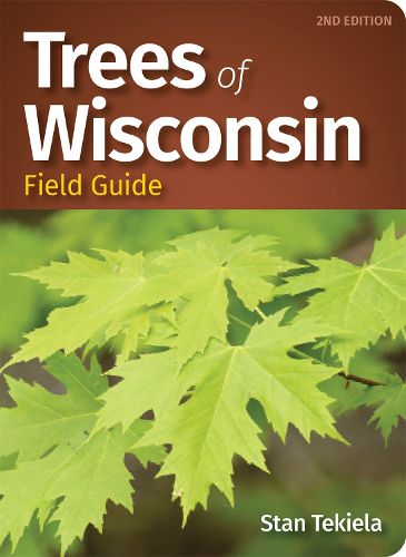 Cover image for Trees of Wisconsin Field Guide