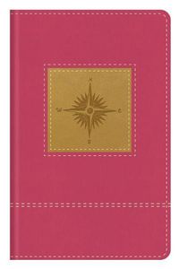 Cover image for Go-Anywhere KJV Study Bible (Primrose Compass)