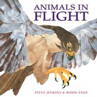 Cover image for Animals in Flight