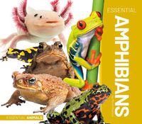 Cover image for Essential Amphibians