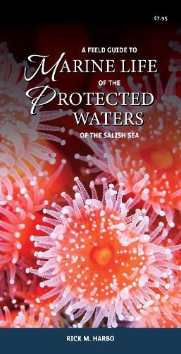 Cover image for A Field Guide to Marine Life of the Protected Waters of the Salish Sea