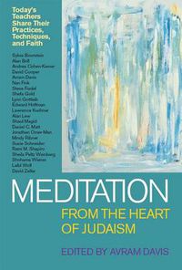 Cover image for Meditation from the Heart of Judaism: Today's Teachers Share Their Practices, Techniques, and Faith