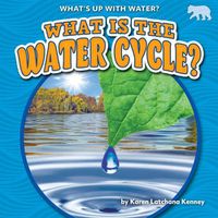 Cover image for What Is the Water Cycle?