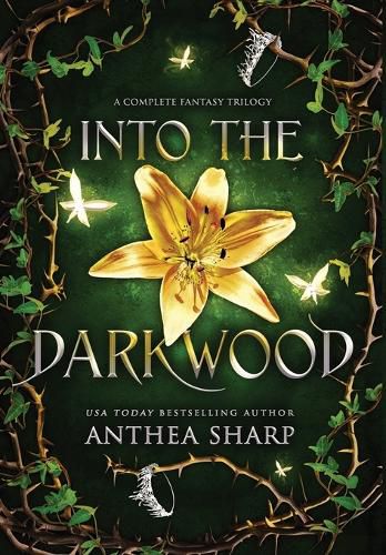 Cover image for Into the Darkwood: A Complete Fantasy Trilogy