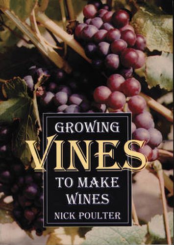 Cover image for Growing Vines to Make Wines