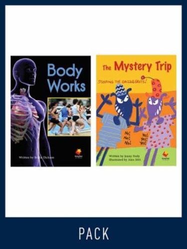 Cover image for Flying Start Guided Reading Level 23, Pack 3: Paired student books (6x6) and lesson plan (1)