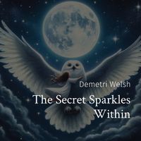 Cover image for The Secret Sparkles Within