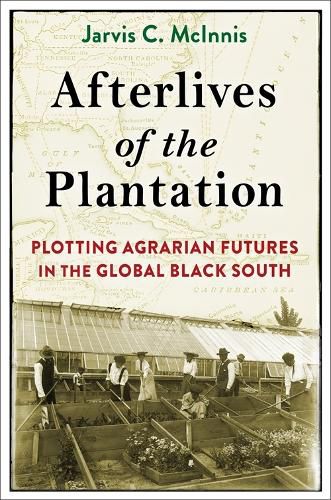 Afterlives of the Plantation