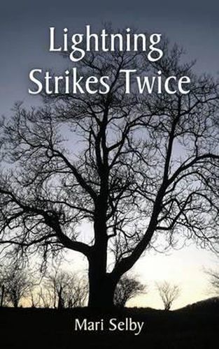 Cover image for Lightning Strikes Twice