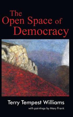 Cover image for The Open Space of Democracy