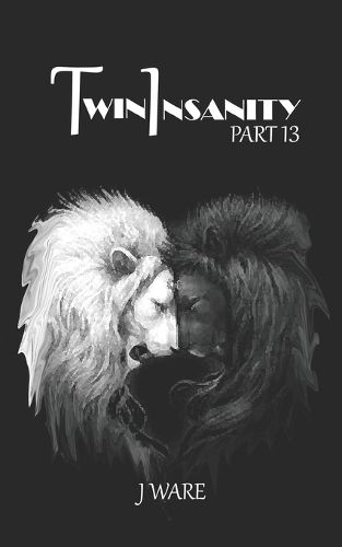 Cover image for TwinInsanity Part 13