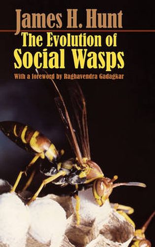 Cover image for The Evolution of Social Wasps