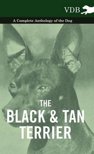 The Black And Tan Terrier - A Complete Anthology of the Dog -