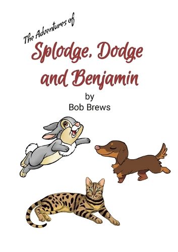 Cover image for Splodge, Dodge and Benjamin