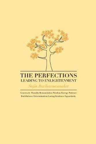 Cover image for The Perfections