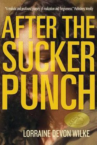 Cover image for After The Sucker Punch