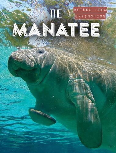 The Manatee