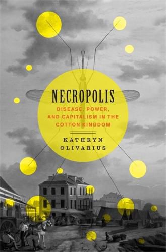 Cover image for Necropolis: Disease, Power, and Capitalism in the Cotton Kingdom