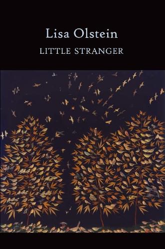 Cover image for Little Stranger