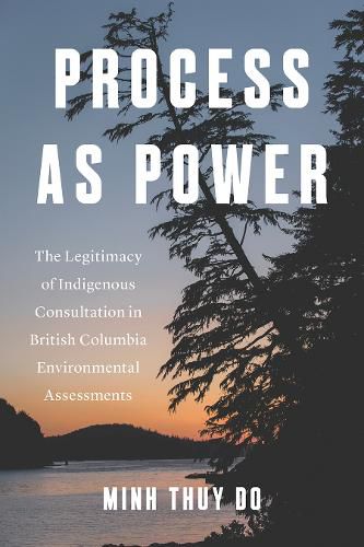 Cover image for Process As Power