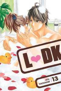 Cover image for Ldk 13
