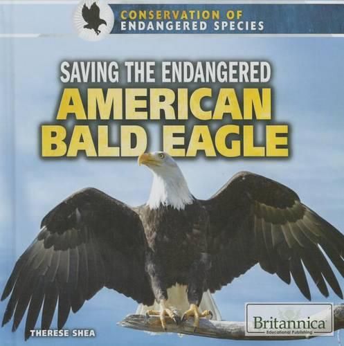 Cover image for Saving the Endangered American Bald Eagle