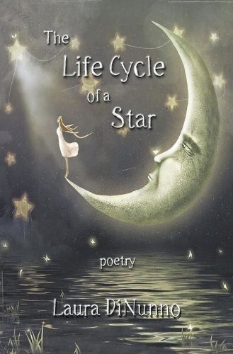 Cover image for The Life Cycle of a Star