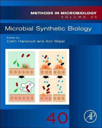 Cover image for Microbial Synthetic Biology