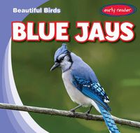 Cover image for Blue Jays