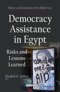 Cover image for Democracy Assistance in Egypt: Risks & Lessons Learned
