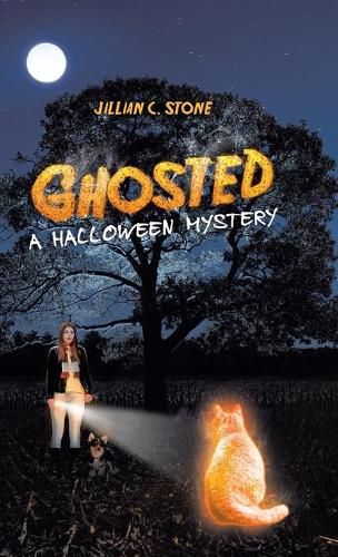 Cover image for Ghosted: A Halloween Mystery