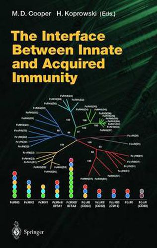 Cover image for The Interface Between Innate and Acquired Immunity