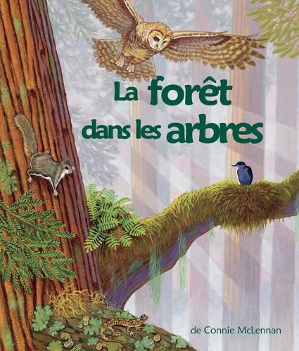 Cover image for La Foret Dans Les Arbres: (the Forest in the Trees in French)