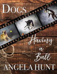Cover image for Dogs Having a Ball