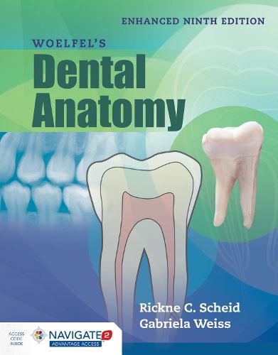 Cover image for Woelfel's Dental Anatomy, Enhanced Edition