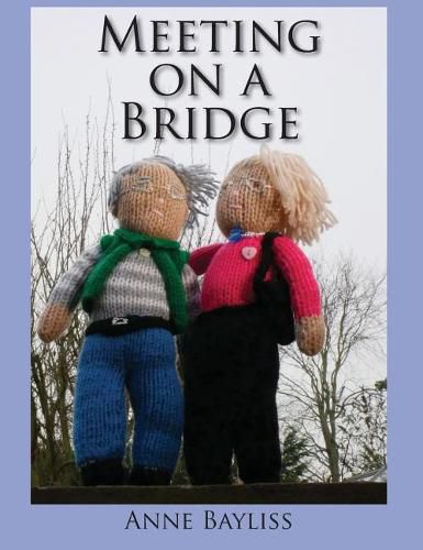 Cover image for Meeting on a Bridge