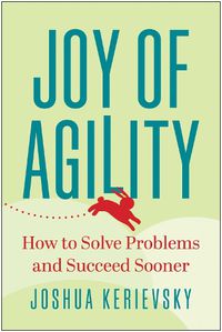 Cover image for Joy of Agility: How to Solve Problems and Succeed Sooner