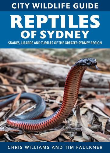 Cover image for Reptiles of Sydney