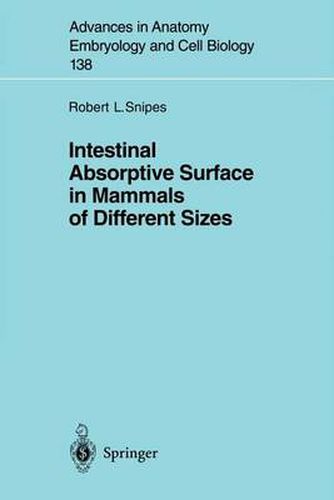 Cover image for Intestinal Absorptive Surface in Mammals of Different Sizes
