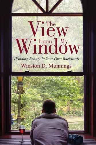 Cover image for The View From My Window: (Finding Beauty In Your Own Backyard)